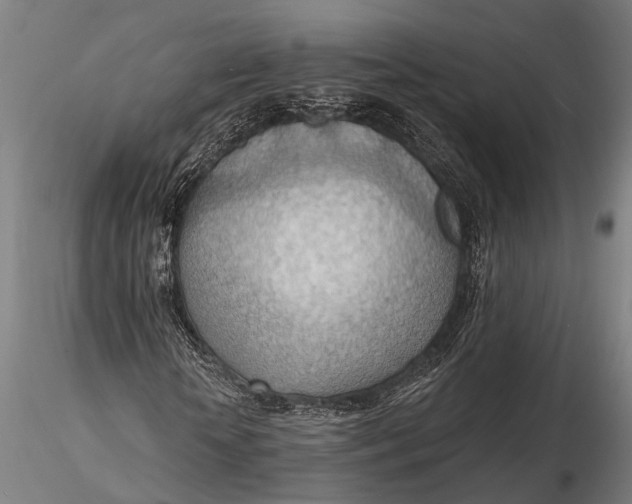 X0000116130818200912141107