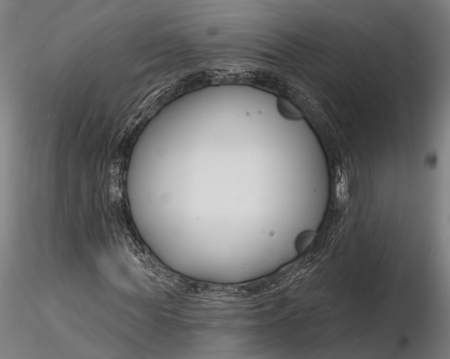 X0000116130819200912141107