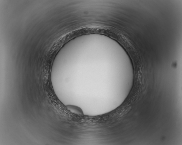 X0000116130821200912141107