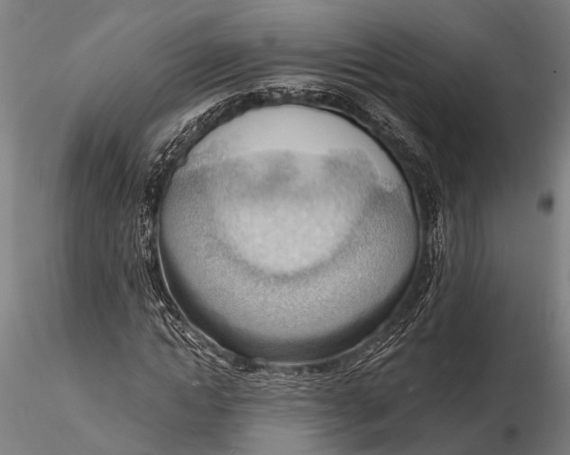 X0000116130822200912141107