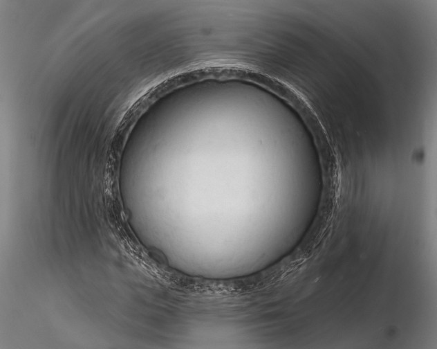 X0000116130823200912141107