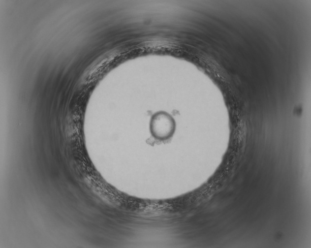 X0000116130824200912141107