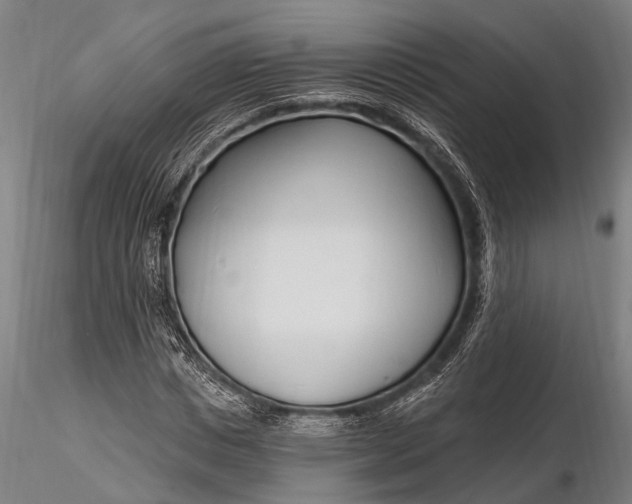 X0000116130825200912141107