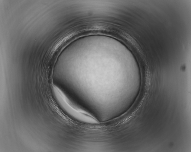 X0000116130826200912141107
