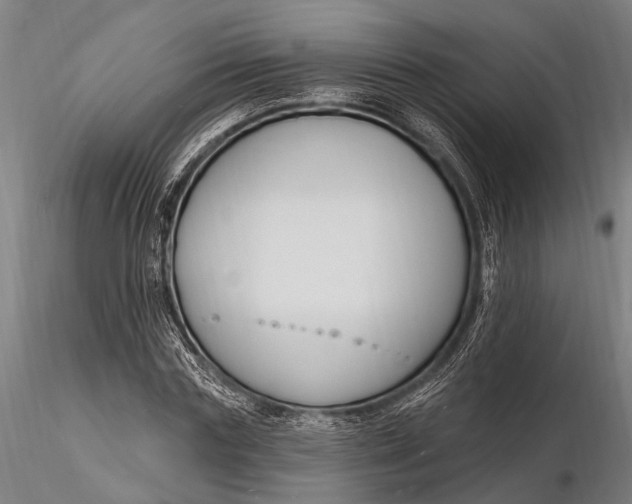 X0000116130827200912141107