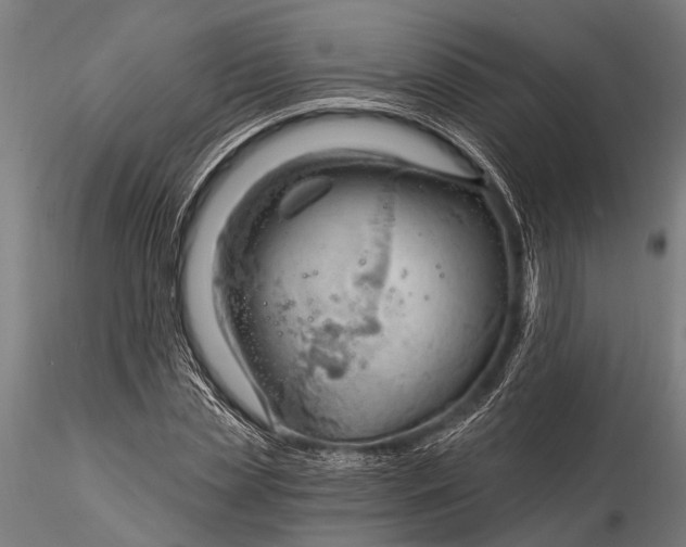 X0000116130829200912141107