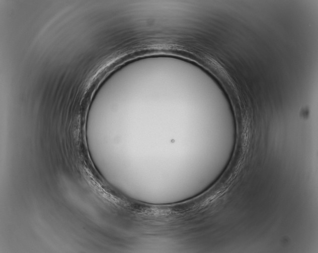 X0000116130831200912141107