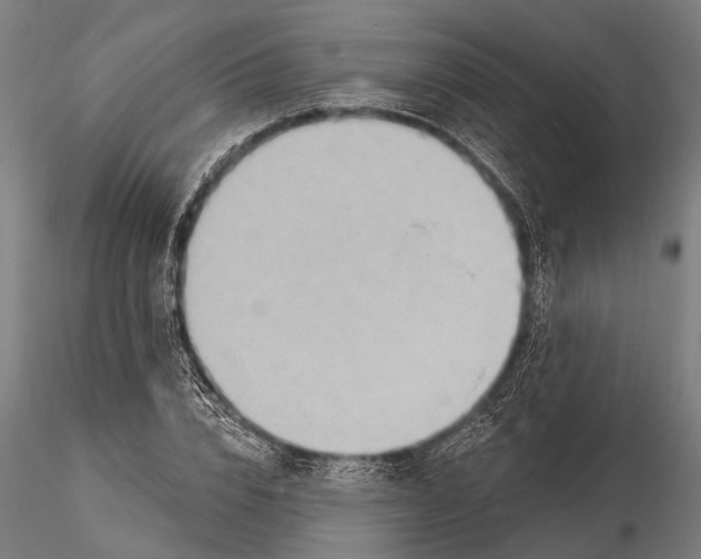 X0000116130832200912141107