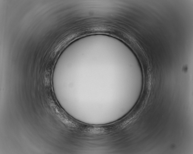 X0000116130833200912141107