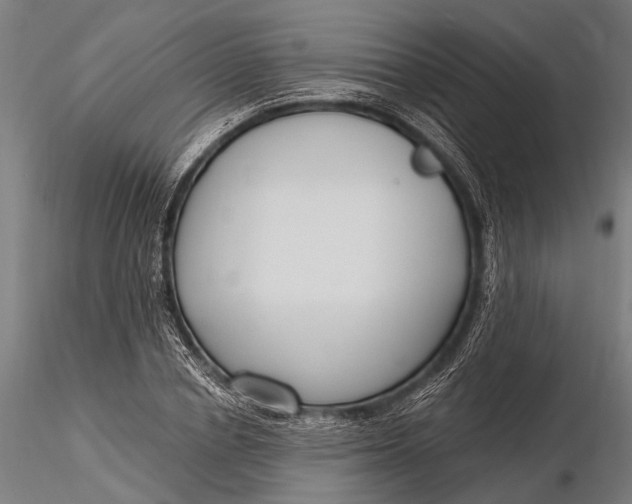 X0000116130834200912141107