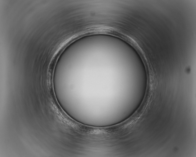 X0000116130835200912141107