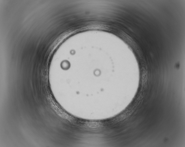 X0000116130836200912141107