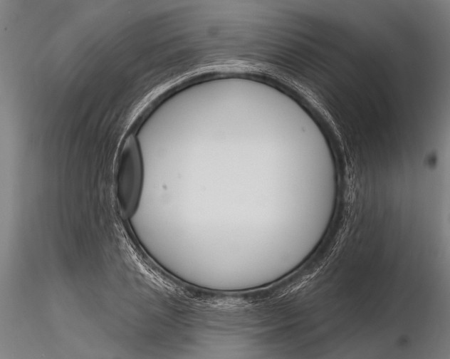 X0000116130837200912141107