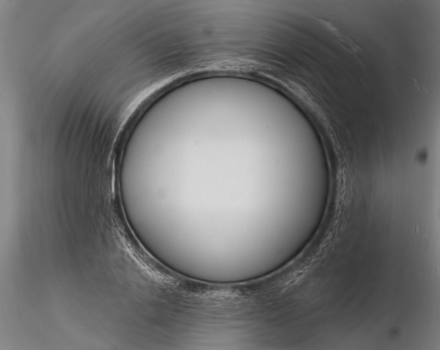 X0000116130838200912141107