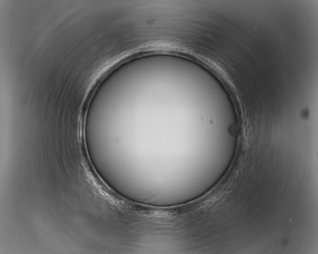 X0000116130839200912141107