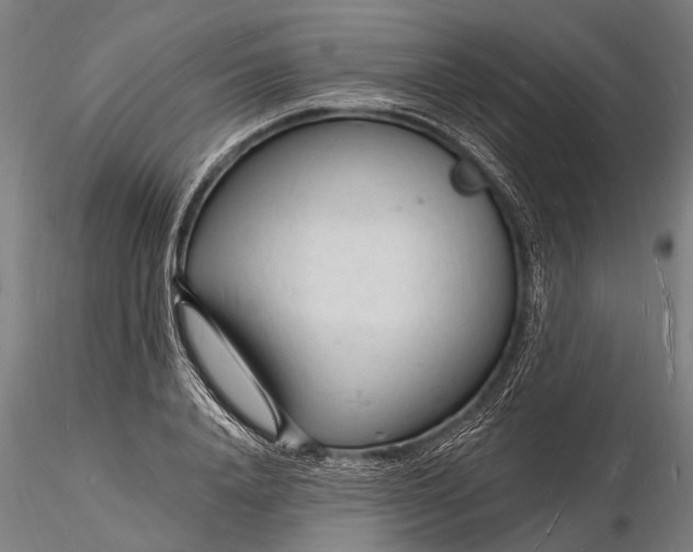 X0000116130840200912141107