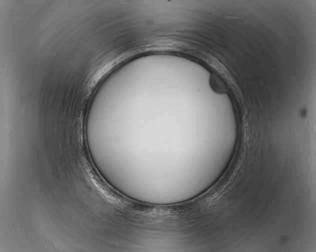 X0000116130842200912141107
