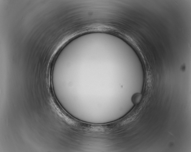 X0000116130843200912141107