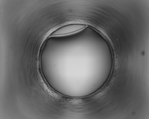 X0000116130845200912141107