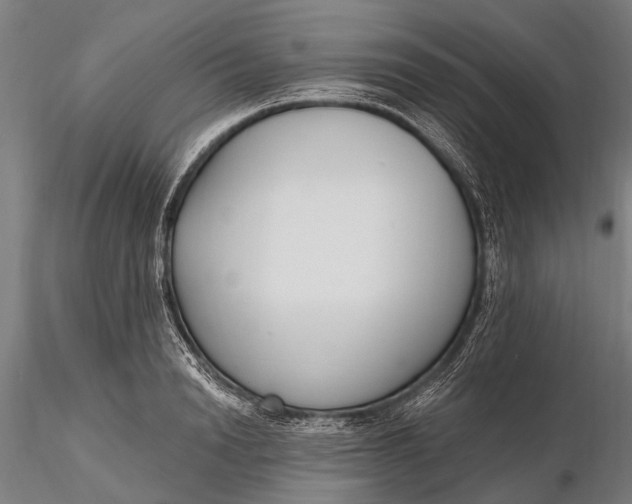 X0000116130846200912141107