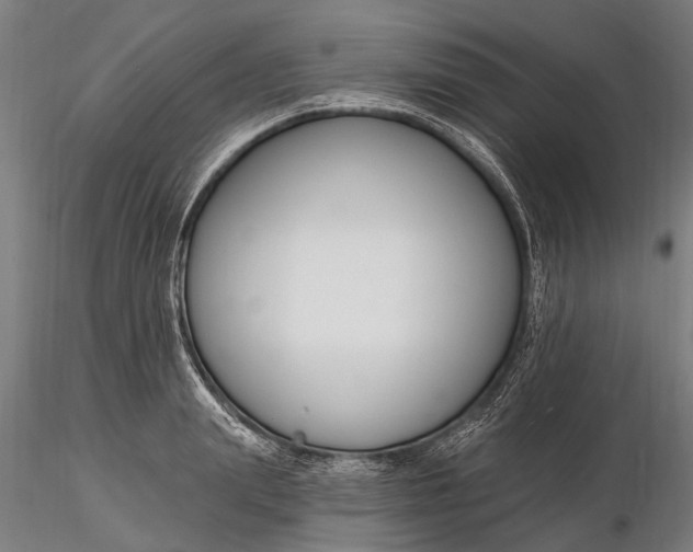 X0000116130847200912141107