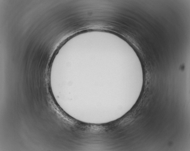 X0000116130848200912141108