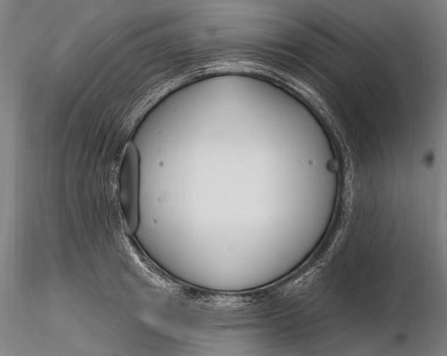 X0000116130849200912141108