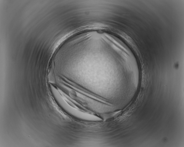 X0000116130850200912141108