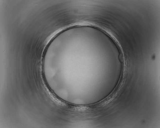 X0000116130853200912141108