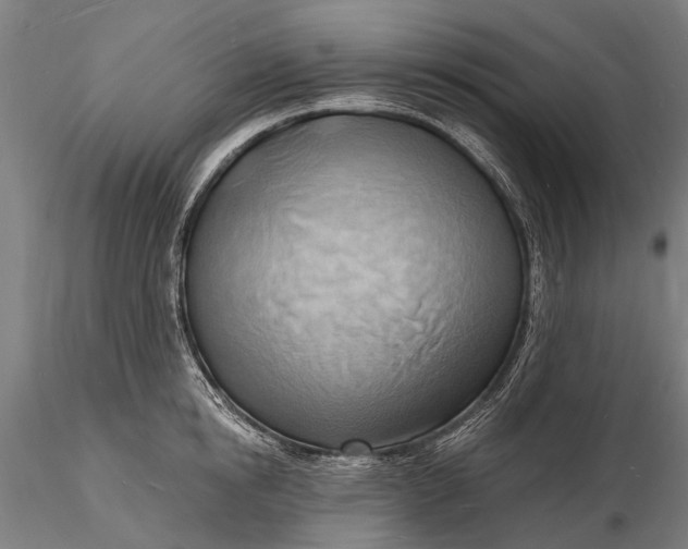 X0000116130854200912141108