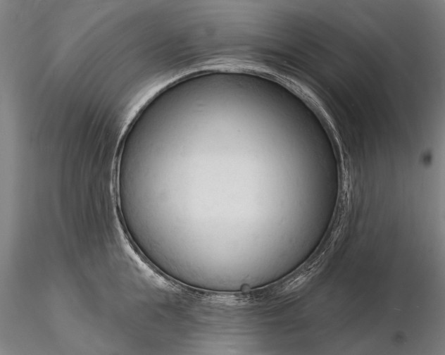 X0000116130855200912141108