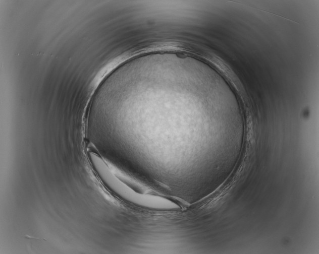 X0000116130858200912141108