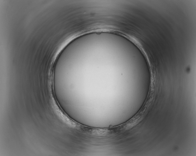 X0000116130859200912141108