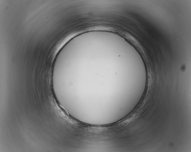 X0000116130860200912141108