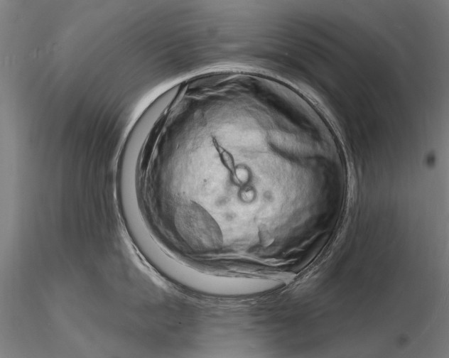 X0000116130862200912141108