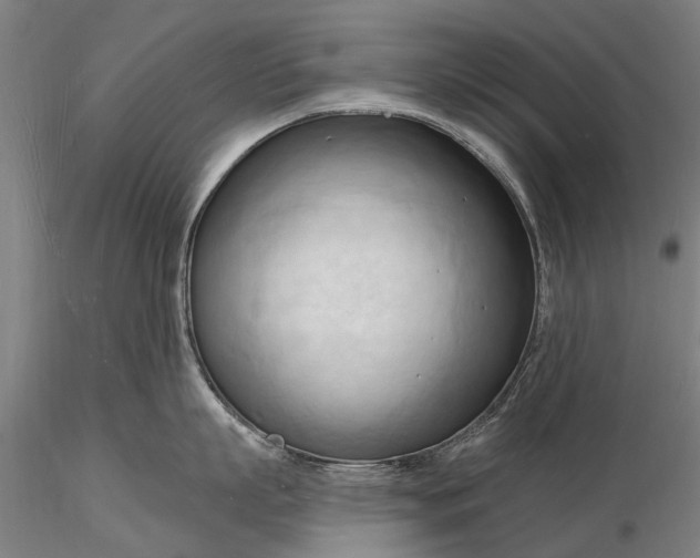 X0000116130863200912141108