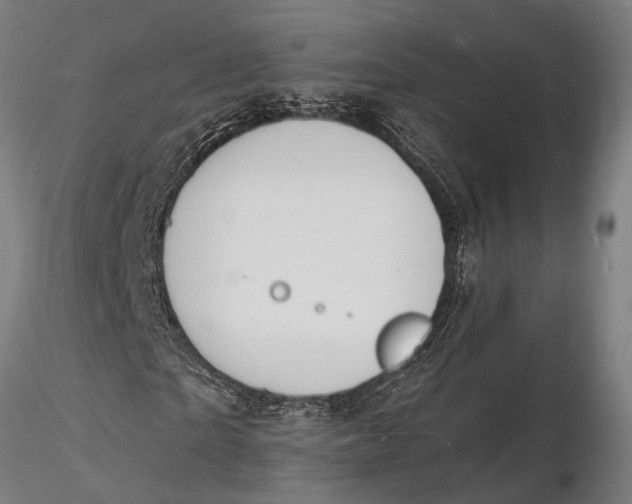 X0000116130865200912141107
