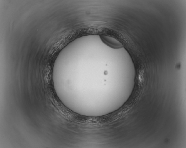 X0000116130867200912141107