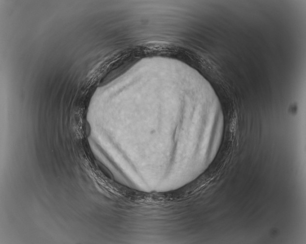 X0000116130868200912141107