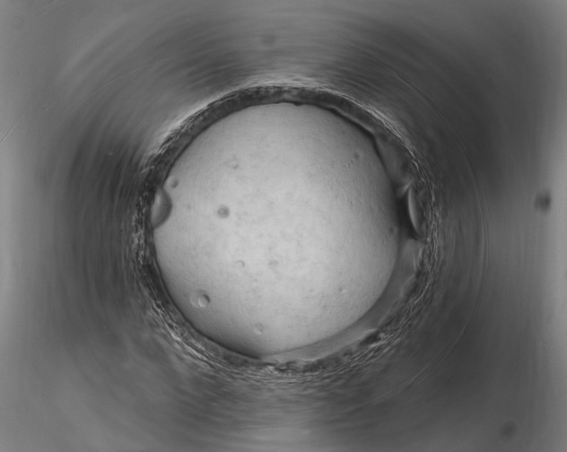X0000116130872200912141107