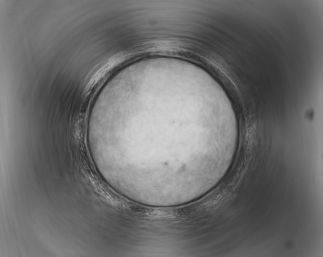 X0000116130874200912141107