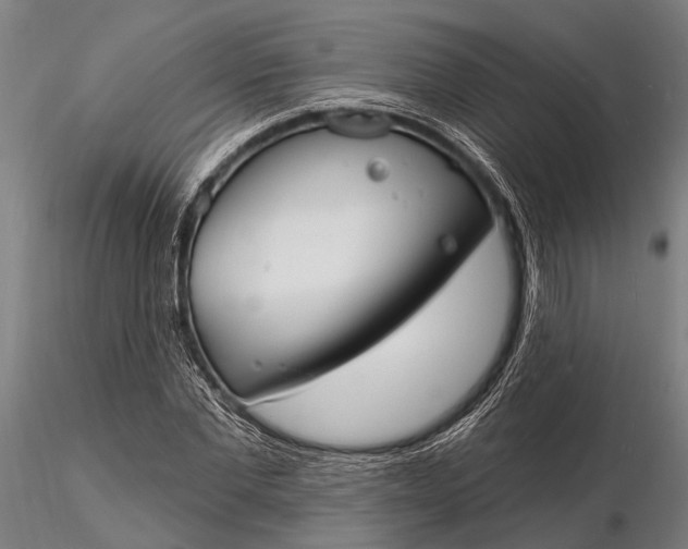 X0000116130877200912141107
