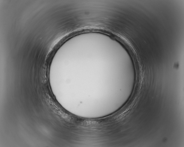 X0000116130878200912141107