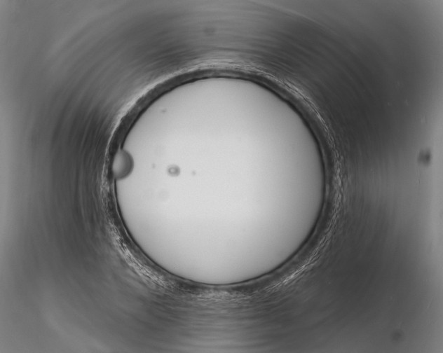 X0000116130880200912141107