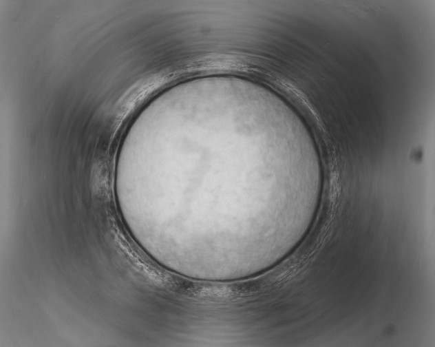 X0000116130882200912141107