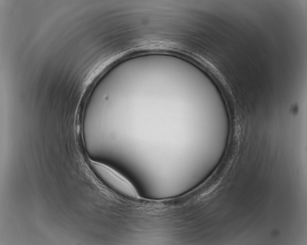 X0000116130885200912141107
