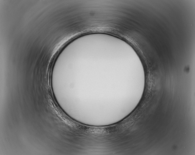 X0000116130886200912141107