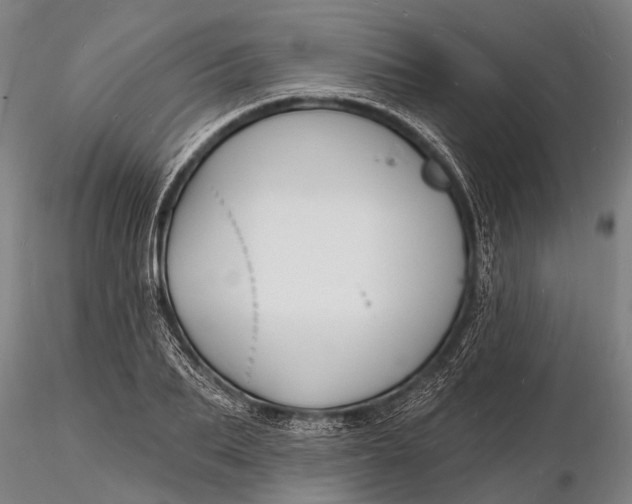 X0000116130887200912141107