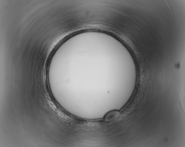 X0000116130888200912141107