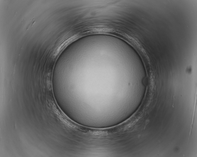 X0000116130889200912141107